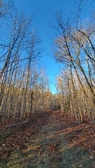 Enlarge photo 201