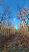 Enlarge photo 205