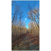 Enlarge photo 206