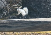 Enlarge photo 223