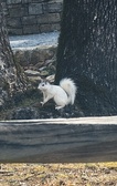 Enlarge photo 224