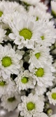 Enlarge photo 231