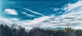 Enlarge photo 254