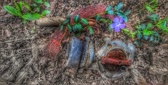 Enlarge photo 280