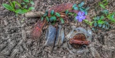 Enlarge photo 279