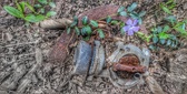 Enlarge photo 278