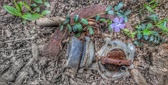 Enlarge photo 277