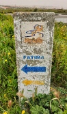 Enlarge photo 309