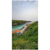 Enlarge photo 315