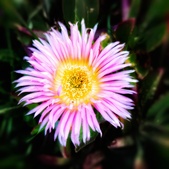 Enlarge photo 316