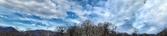 Enlarge photo 172