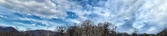Enlarge photo 173
