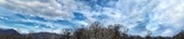 Enlarge photo 174