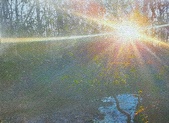 Enlarge photo 219