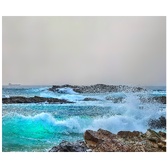 Enlarge photo 46