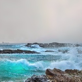 Enlarge photo 45
