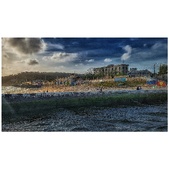 Enlarge photo 286