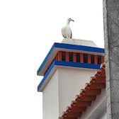 Enlarge photo 18