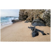 Enlarge photo 37