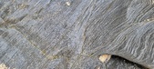 Enlarge photo 40