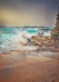 Enlarge photo 51