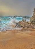 Enlarge photo 49