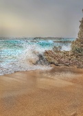 Enlarge photo 48