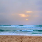 Enlarge photo 55