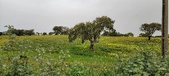 Enlarge photo 59