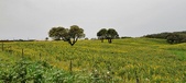 Enlarge photo 60