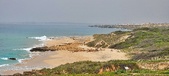 Enlarge photo 64