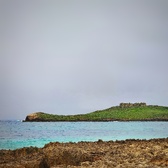Enlarge photo 71