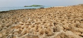Enlarge photo 73