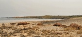 Enlarge photo 81