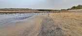 Enlarge photo 82