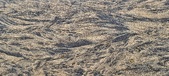 Enlarge photo 88