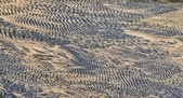Enlarge photo 89