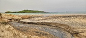 Enlarge photo 91