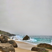 Enlarge photo 98