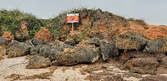 Enlarge photo 105