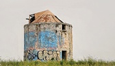 Enlarge photo 112