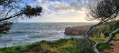 Enlarge photo 135