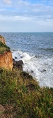 Enlarge photo 136