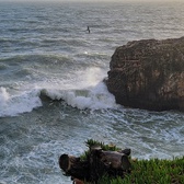 Enlarge photo 138