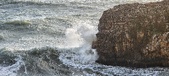 Enlarge photo 139