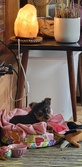Enlarge photo 168