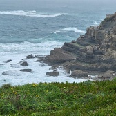 Enlarge photo 184
