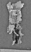 Enlarge photo 203