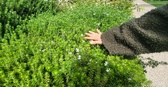 Enlarge photo 223