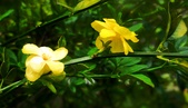 Enlarge photo 227